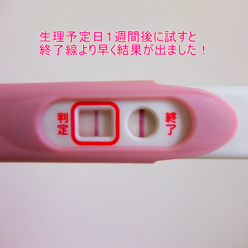 葉酸サプリ　妊娠初期.png